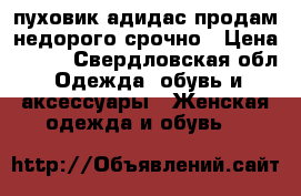 пуховик адидас продам недорого срочно › Цена ­ 550 - Свердловская обл. Одежда, обувь и аксессуары » Женская одежда и обувь   